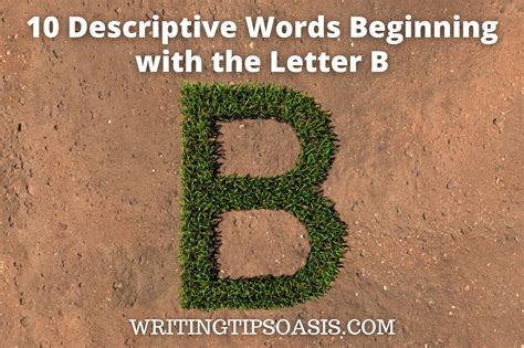 10 Descriptive Words Beginning With The Letter B Writing Tips Oasis