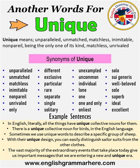 100 Synonyms For Unique With Examples Another Word For Unique 7Esl