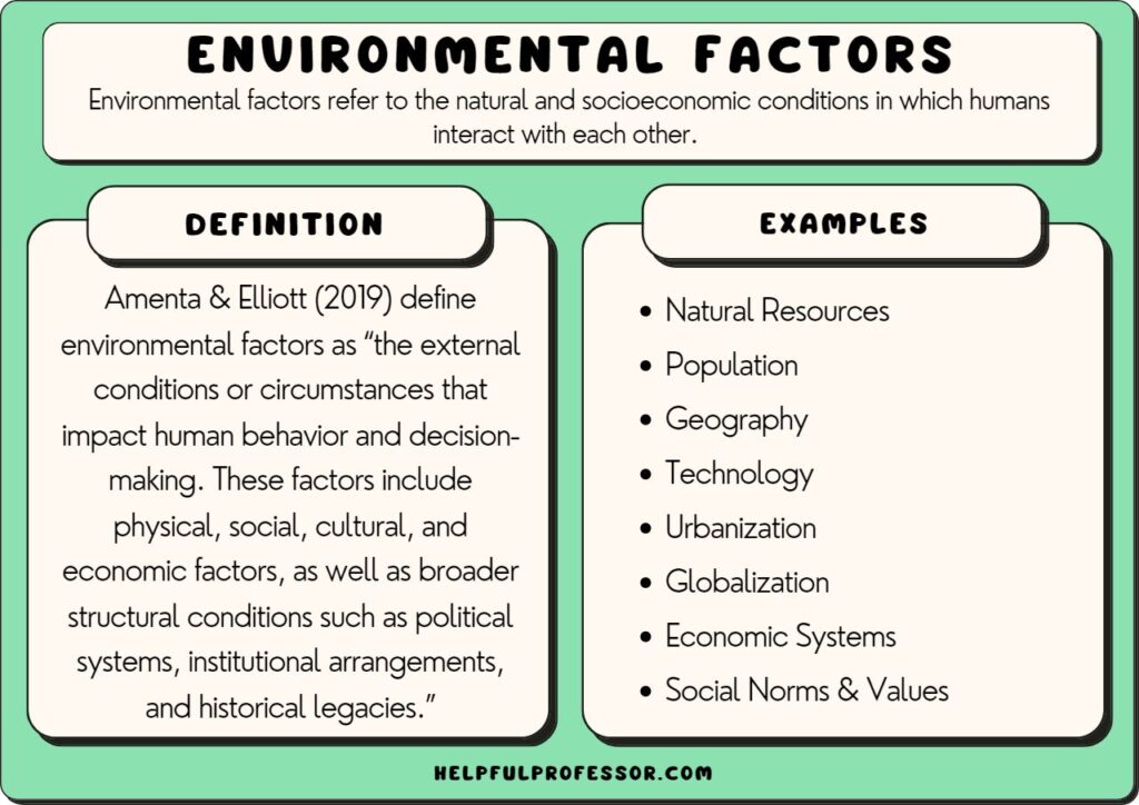 15 Environmental Factors Examples