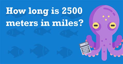 2500 Meters to Miles: Quick Conversion Guide