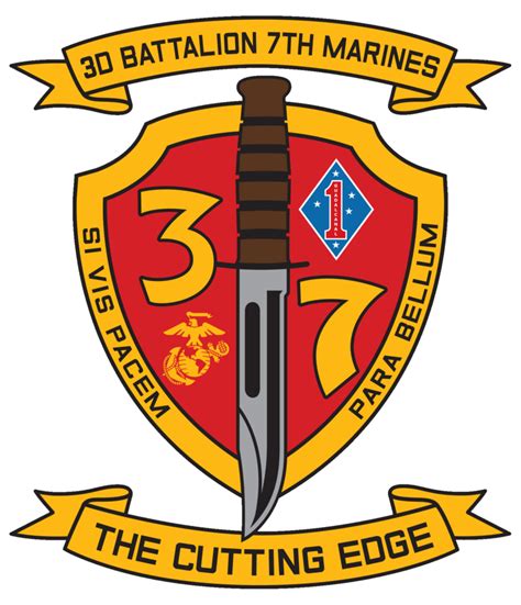 3rd Battalion 7th Marines: Stories of Valor and Sacrifice