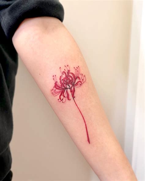 47 Awesome Spider Lily Tattoo Design Ideas