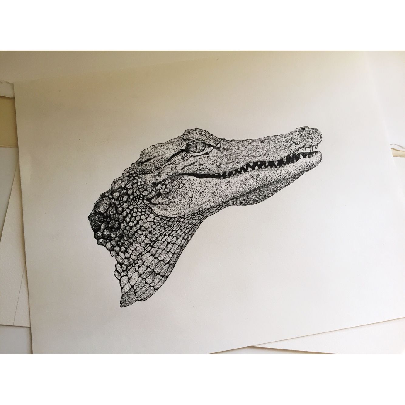 Alligator Tattoo Drawing