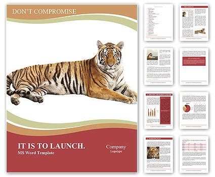 Bengal Tiger Fearsome Forest Predator Dangerous Animal Isolated On White Background With