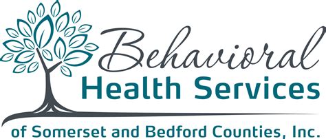 Bhssbc Behavioral Health Services Of Somerset And Bedford Counties Inc Bhssbc