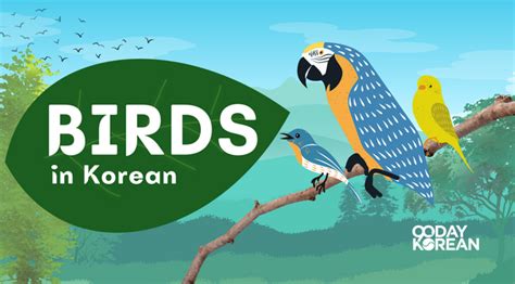 Birds In Korean Names Of Our Feathered Friends Koreabridge