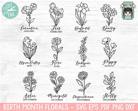 Birthmonth Flower Svg Flower Svg Birth Flowers Svg Floral Svg Bundle