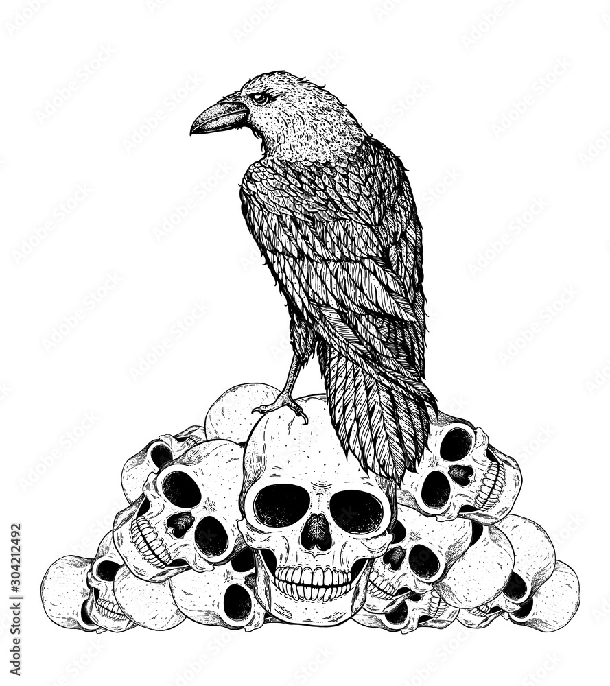 Black Raven Sits On The Skulls Skull And Raven Hand Drawn Illustration