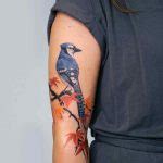 Blue Jay Tattoo By Picsola Tattoogrid Net