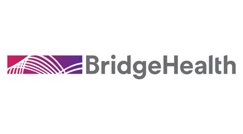 Bridgehealth Brand Platform Identity By Toky