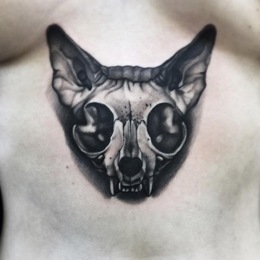 Cat Skull Tattoo Ideas And The Meaning