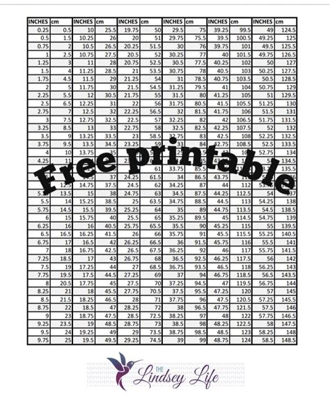 Cm To Inches Conversion Chart Printable