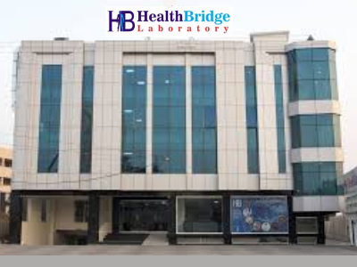 Contact Us Health Bridge Lab