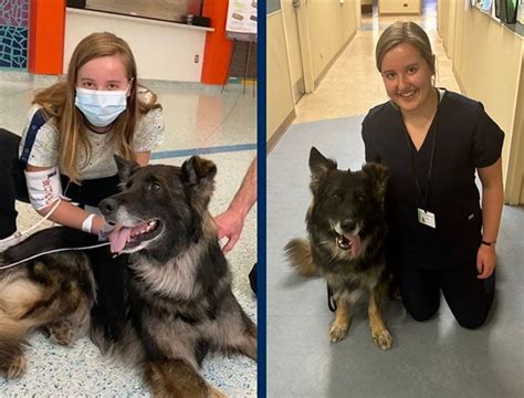 Corewell Health K9 Retires But Not Before Coming Full Circle With One