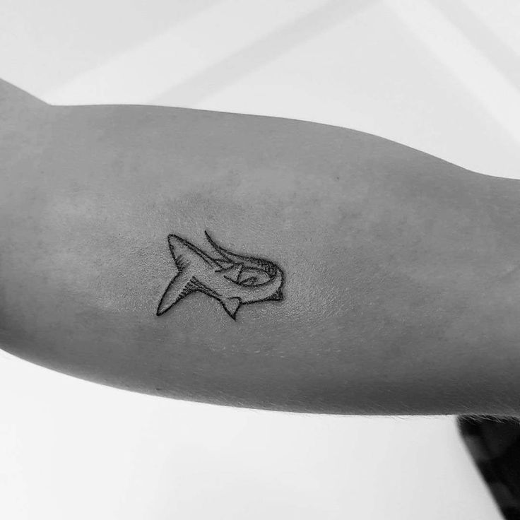 7 Cute Shark Tattoo Designs to Inspire You