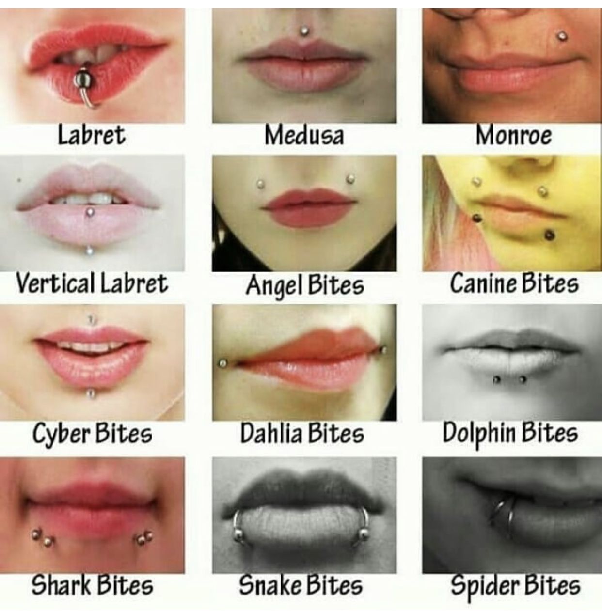 Types of Lip Piercings You Should Know About