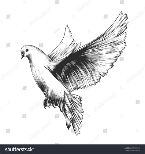 Discover More Than 69 Realistic Dove Tattoo Drawing In Cdgdbentre