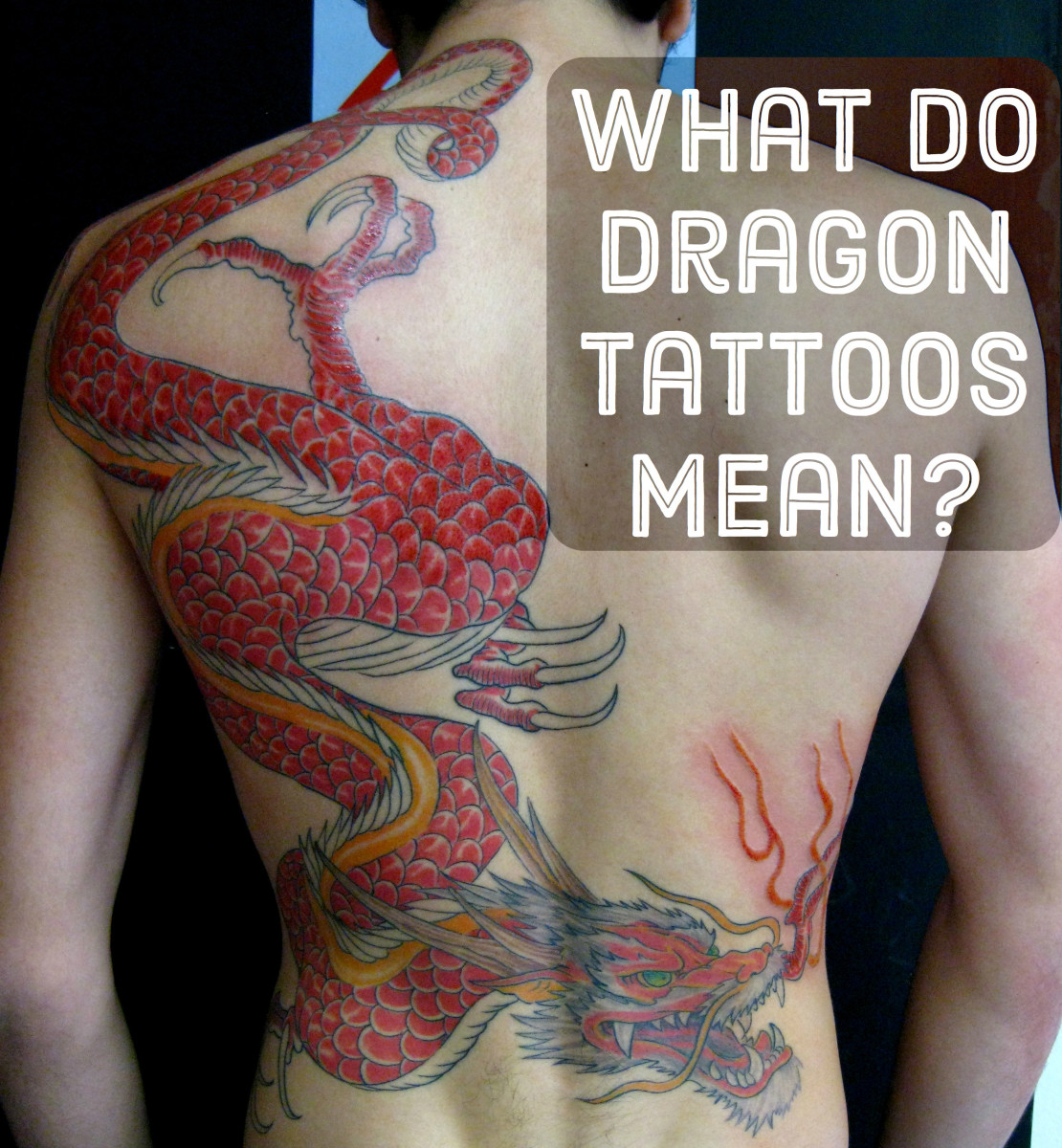 Dragon Tattoo Designs for Women: Beauty and Myth