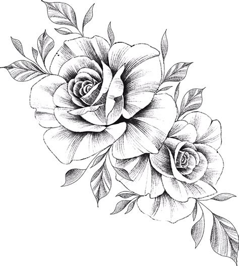 Tattoo Rose Drawings and Designs Inspiration