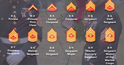 Mastering E4 in the Marine Corps: Rank and Responsibilities