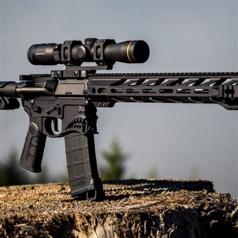 Explainer Meet The Top 5 Semi Automatic Rifles For Self Defense