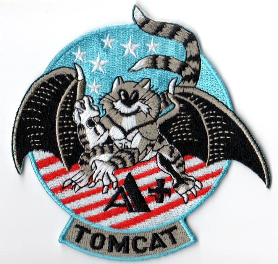 F-14 Super Tomcat: Top Gun's Iconic Fighter Jet