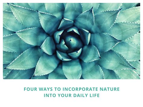 Four Ways To Incorporate Nature Into Your Daily Life