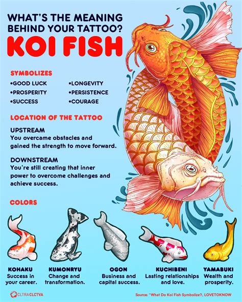 Guide To Koi Fish Tattoo Designs Meaning Color Direction With 80