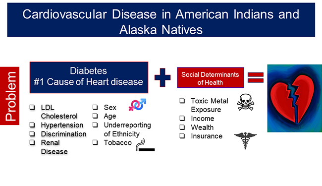 Health Coverage And Care For American Indians And Alaska Natives