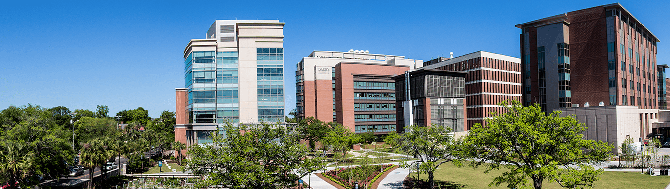 Institutional Effectiveness Musc