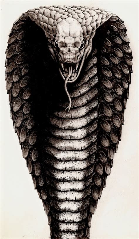 King Cobra Tattoo: Symbolism and Design Inspiration