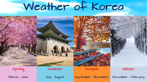 Korea Weather In June 2024 Helge Kristy