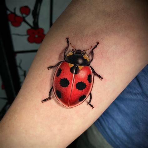 8 Ladybug Tattoo Designs You'll Love