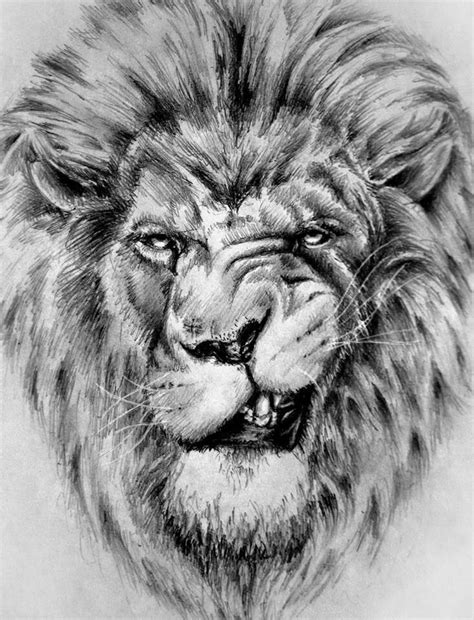 5 Lion Tattoo Sketch Ideas