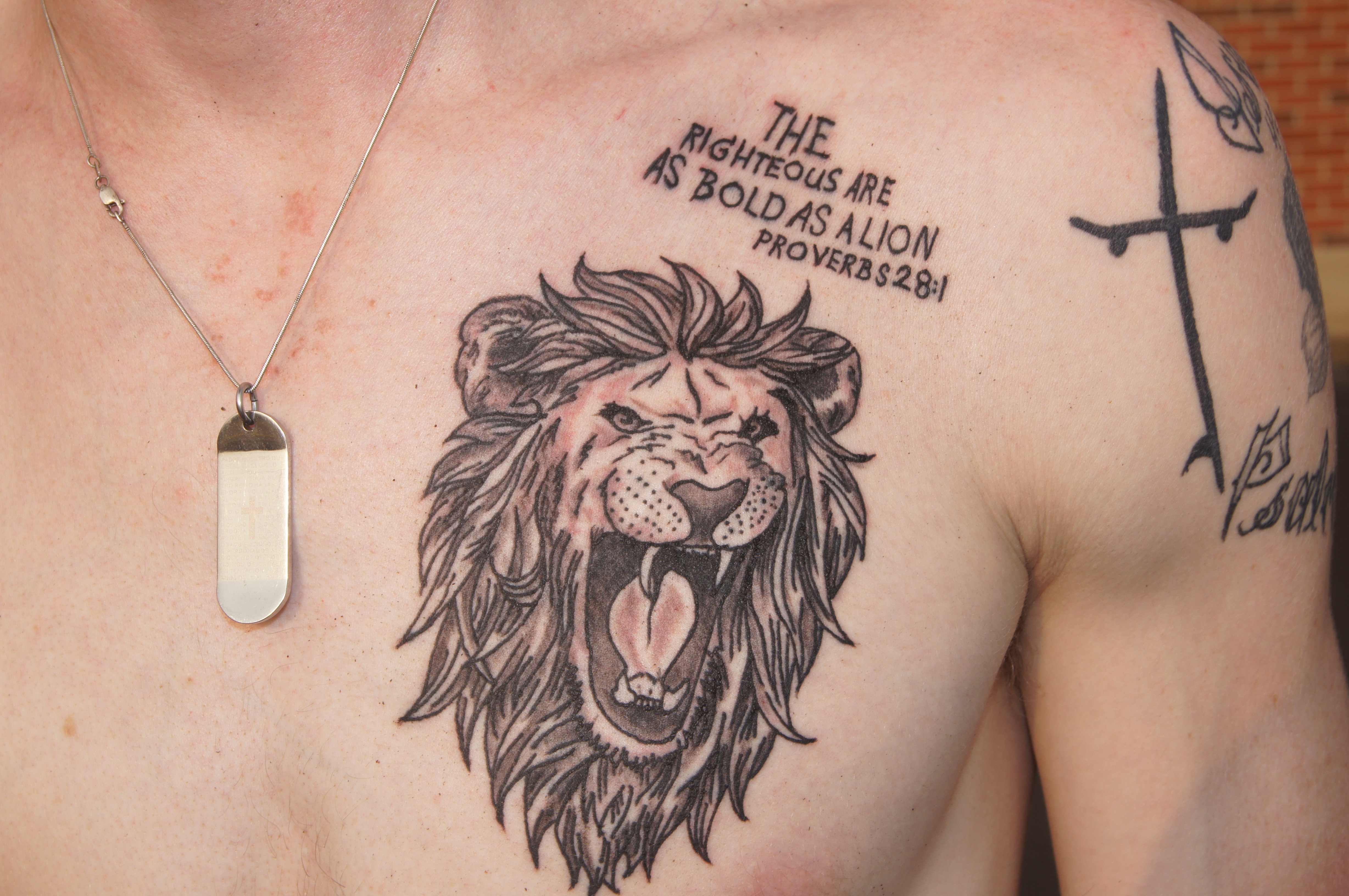 10 Lion Tattoo Designs for Men to Make a Statement