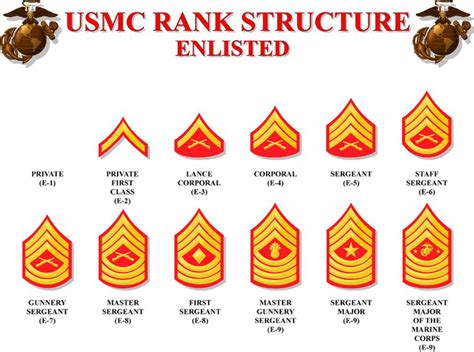 5 Marine Corps Noncom Ranks You Need to Know