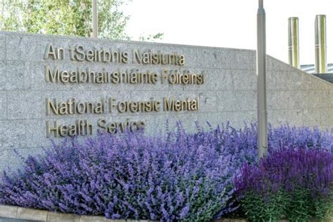 New National Forensic Mental Health Service Opened Emergency Services Journal