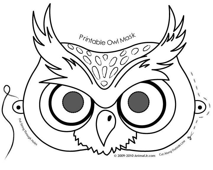 Owl Face Drawing At Getdrawings Free Download