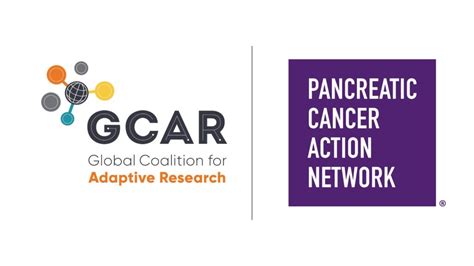 Pancreatic Cancer Action Network Research Patient Support Resources