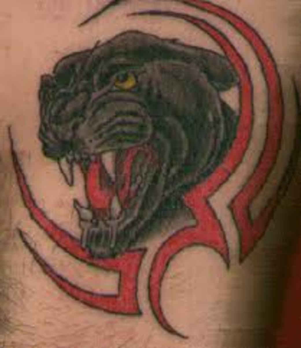 Panther Tattoos Meanings Tattoo Designs Ideas