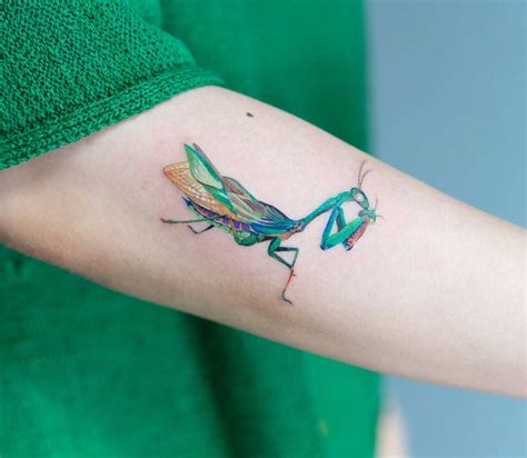 5 Symbolic Meanings of Praying Mantis Tattoos