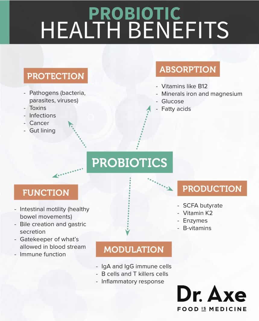 Probiotics Benefits Foods And Supplements Dr Axe