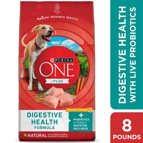 Purina One Digestive Health for Sensitive Stomachs