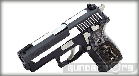 Sig Sauer P229 Review Price Gundata Org