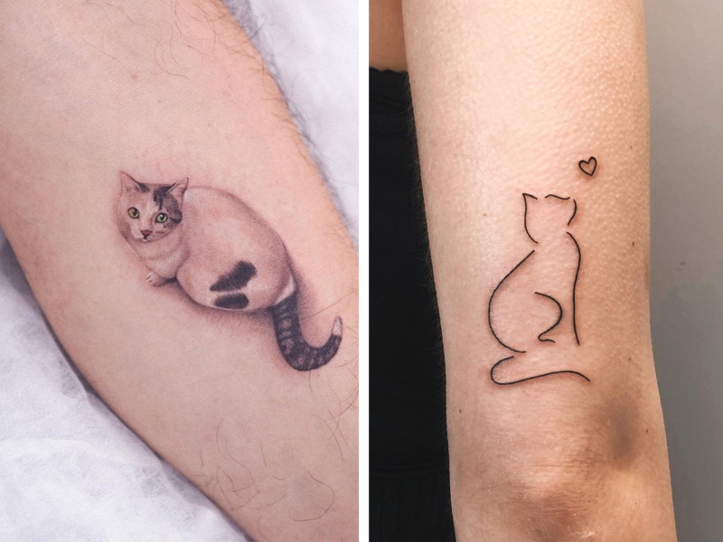 Tattoo Cat Designs Inspiration and Ideas