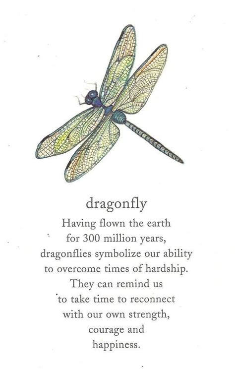 7 Symbolic Meanings of Dragonfly Tattoos