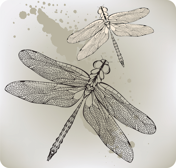 7 Meanings Behind a Dragonfly Tattoo