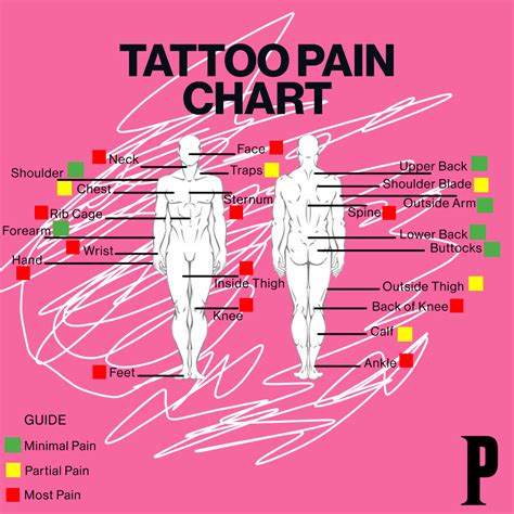 Tattoo Pain Chart A Scale Of How Bad Tattoos Hurt Authoritytattoo