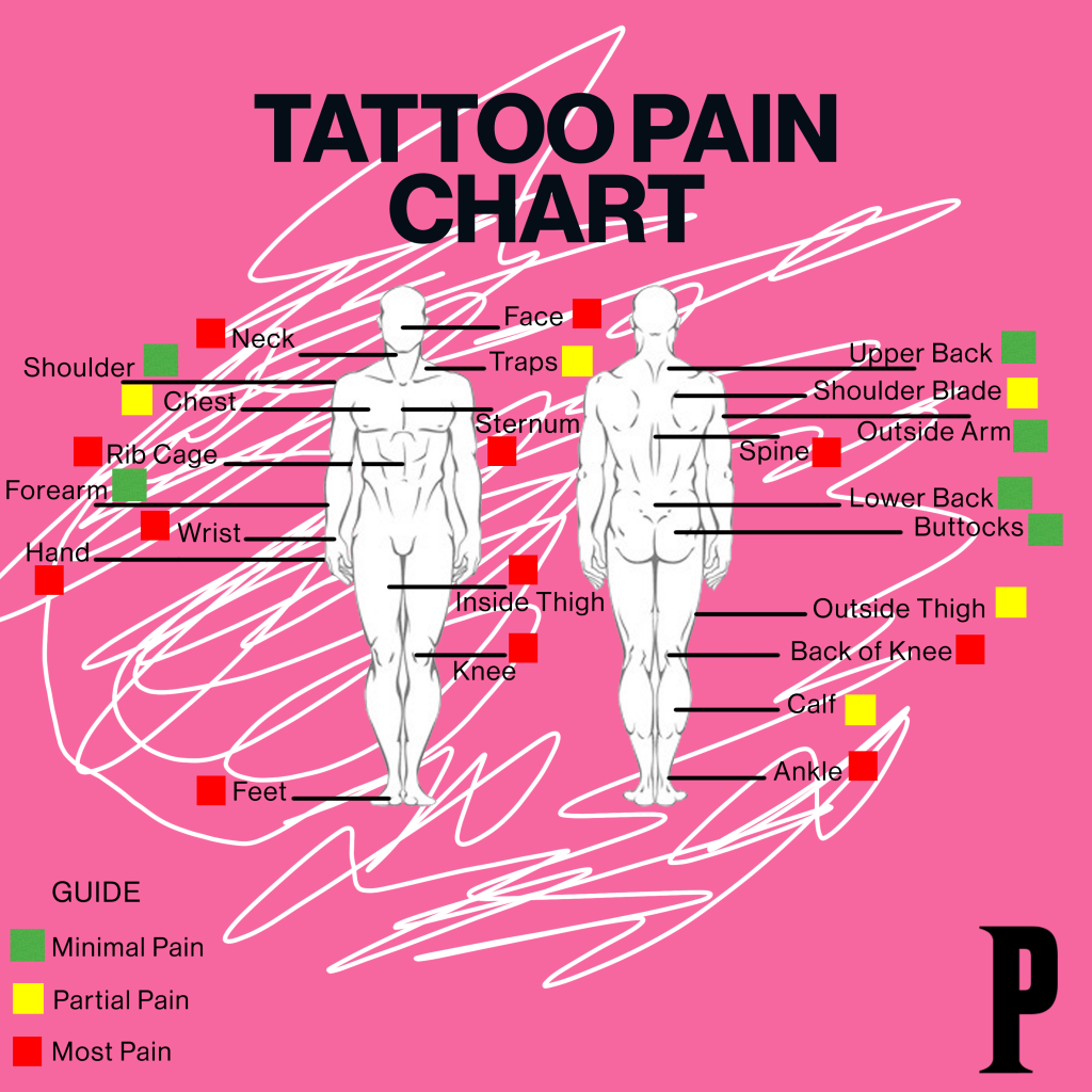 Tattoo Pain Chart How Bad Do Tattoos Hurt Tattoo Moisturiser