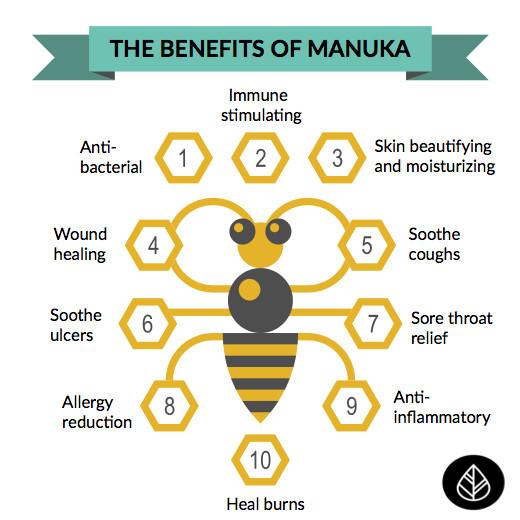 Tenerife Adeslas Agent The Benefits Of Manuka Honey